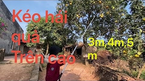 Báo giá 4 mẫu kéo cắt cành trên cao dạng 3m ,kèm test thử cách dùng luôn.lh:0392029881