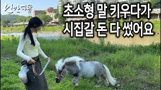 Download Lagu (Korea) Wanita yang memelihara kuda terkecil di dunia MP3 Download Lagu (Korea) Wanita yang memelihara kuda terkecil di dunia MP3