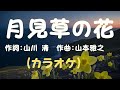 月見草の花(カラオケ)