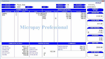 Timesheets in Micropay