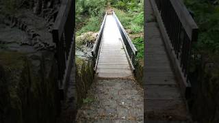 Mossy waterfall steps | bridge | Oregon waterfall | #waterfall