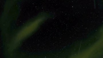 Joshua Tree Starry Night