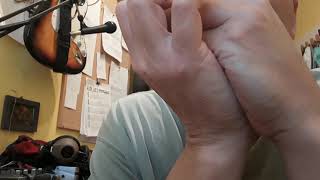 Deak Harp style practice G harmonica