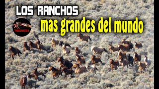 LOS RANCHOS MAS GRANDES DEL MUNDO (El rancho mas grande del mundo)