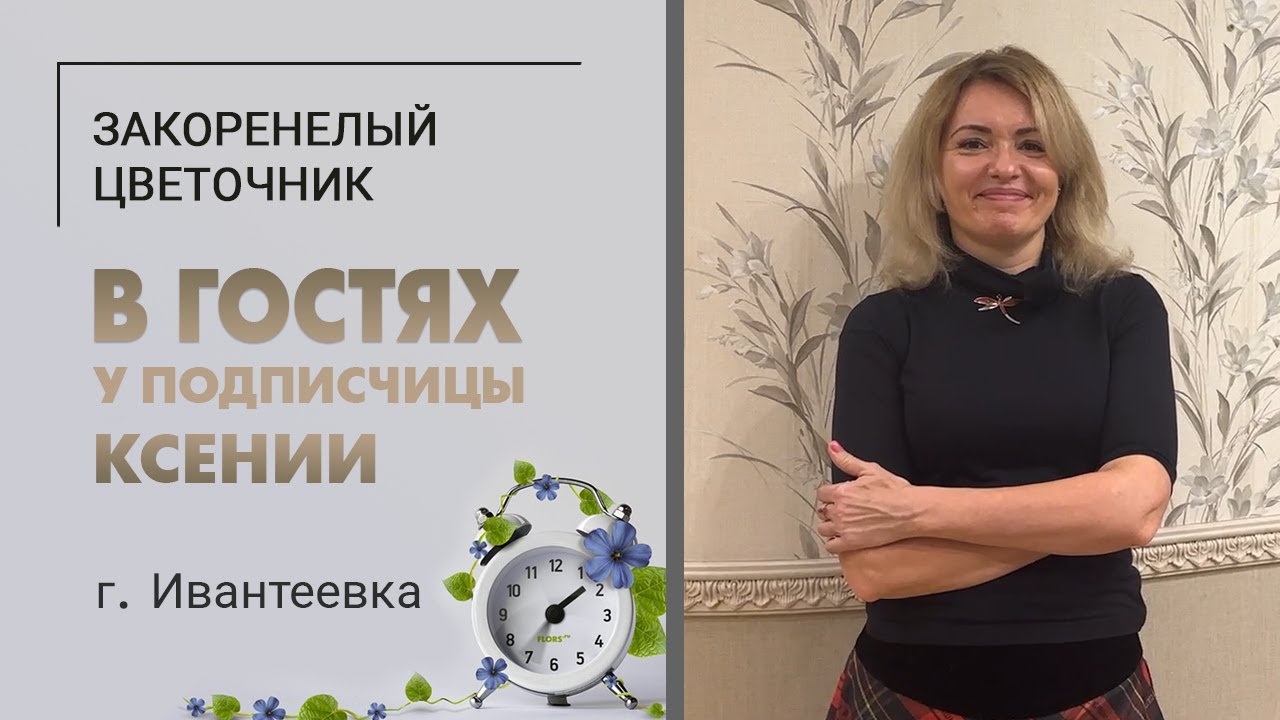 В гостях у Ксении. Ивантеевка. Котики ориенталы, хлорофитумы, монстеры, диффенбахия и фиалки.