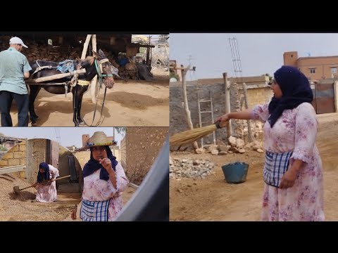 روتين مي قبل ذكرى المولد النبوي جمعت هيش وريش وحتى من الواليد فيه محلات 