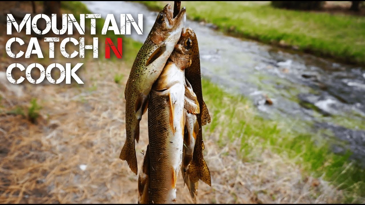 Colorado Mountain Creek Trout Catch'n Cook YouTube