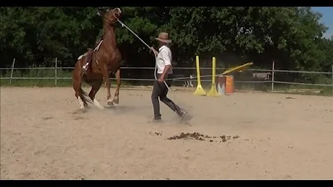 Comment réagir quand un cheval se cabre ?