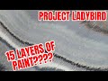 Project Ladybird 4- We HAD to strip the car