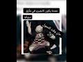 ميمز انمي قاتل الشياطين للأوتاكو ميمز انمي مضحك اضحك اوتاكو Anime Memes Demonslayer Nezuko 