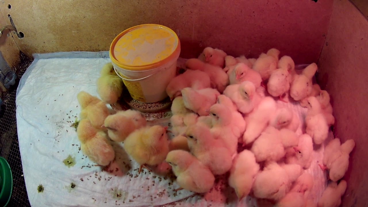 Кобб 500 испания Кобб 500 испания