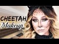 Cheetah Makeup ♡ Halloween Tutorial