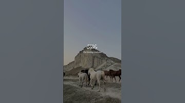 [ أَلَمْ تَرَ أَنَّ اللَّهَ يَسْجُدُ لَهُ ] - سورة الحج -  الشيخ | ياسر الدوسرى .