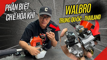 Nhận Biết Chế Hòa Khí Walbro Chính Hãng Sản Xuất Tại TRung Quốc Và Thailand Của Máy Cắt Cỏ