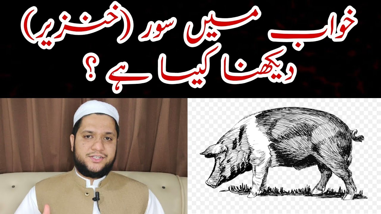 Khwab Mein Soor Dekhna Khwab Mein Khanzeer Pig Dream Meaning