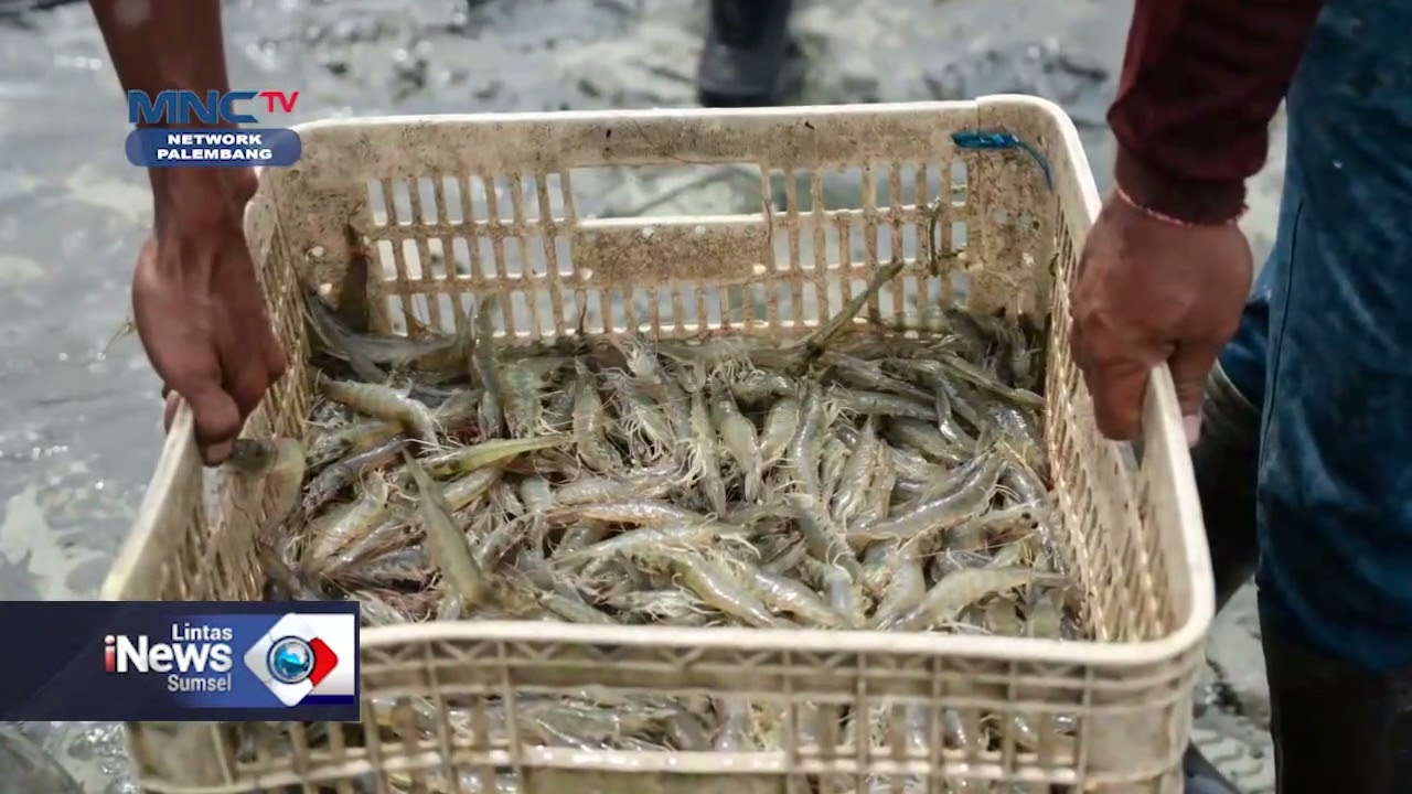 MNCTV LINTAS iNEWS SUMSEL 200226 3 1