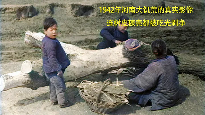 1942年河南大饥荒的真实纪录片，连树皮糠壳都被吃光剥净 - 天天要闻