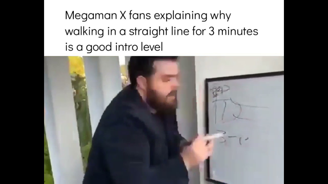 Megaman X fans