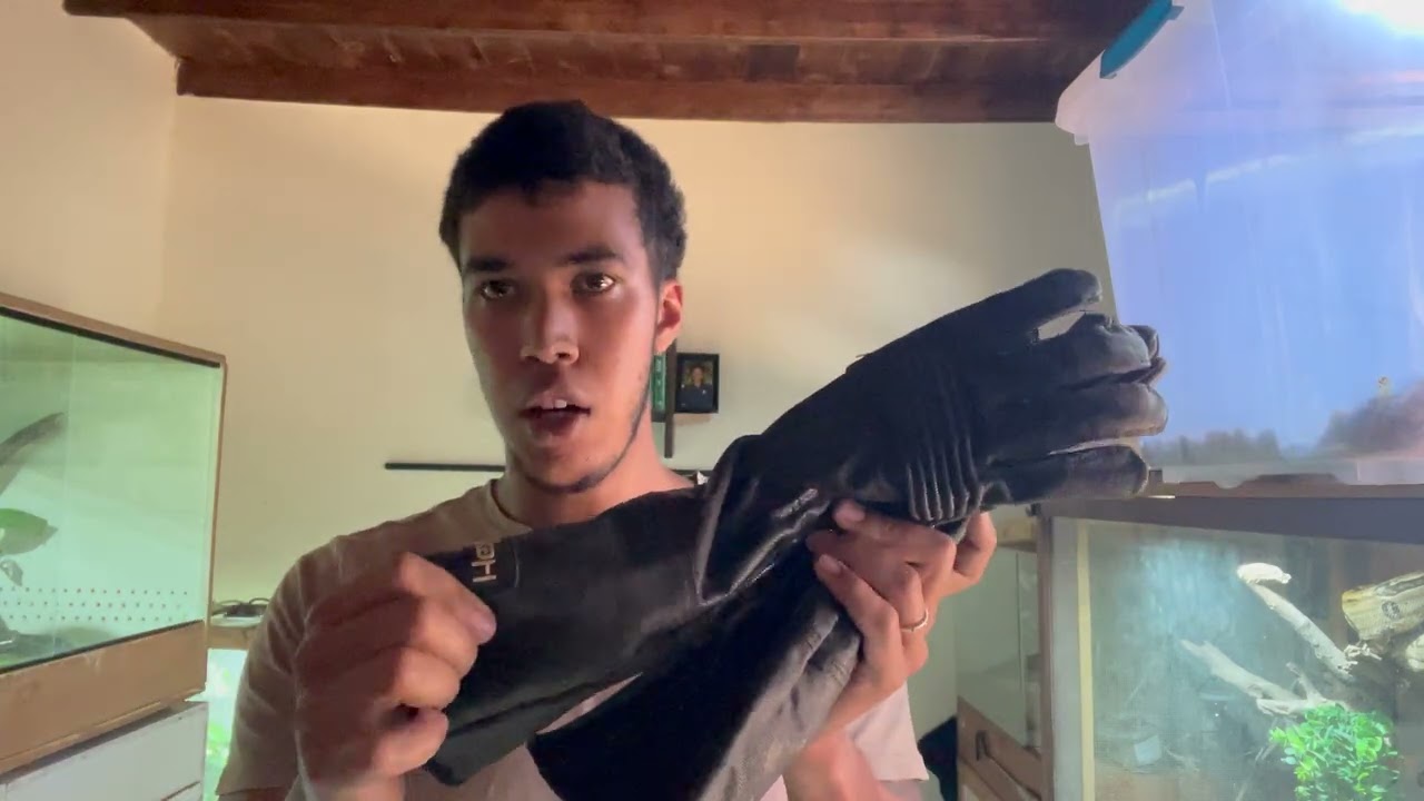 Snake Room Essentials: My Most Important Tools Explained