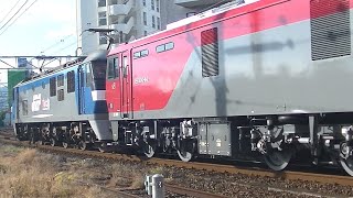 金太郎ムド 大宮出場 山陽本線 下り 貨物列車 2073レ EF210-134号機 無動力EH500-46 コンテナ 19B JR貨物 広島 2023.7.30 00662