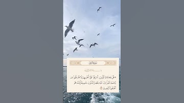 (سورة الزمر)»(53)