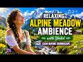 Relaxing Alpine Meadow Ambience with Yodel 🎶 Calm Nature Soundscape