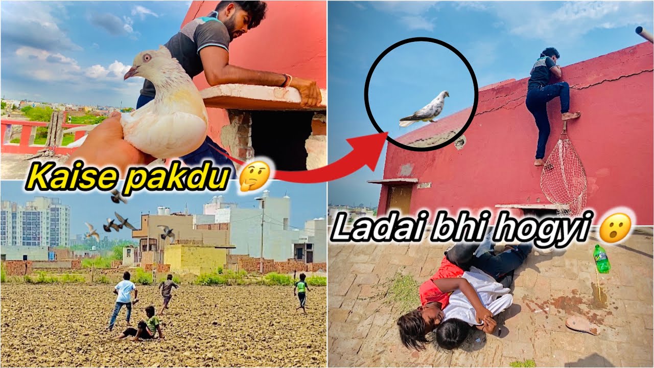 Bazi wala kabutar Pakdne Gaye 😮 || Kabutr k liye hogyi ladai 😤 Part 2