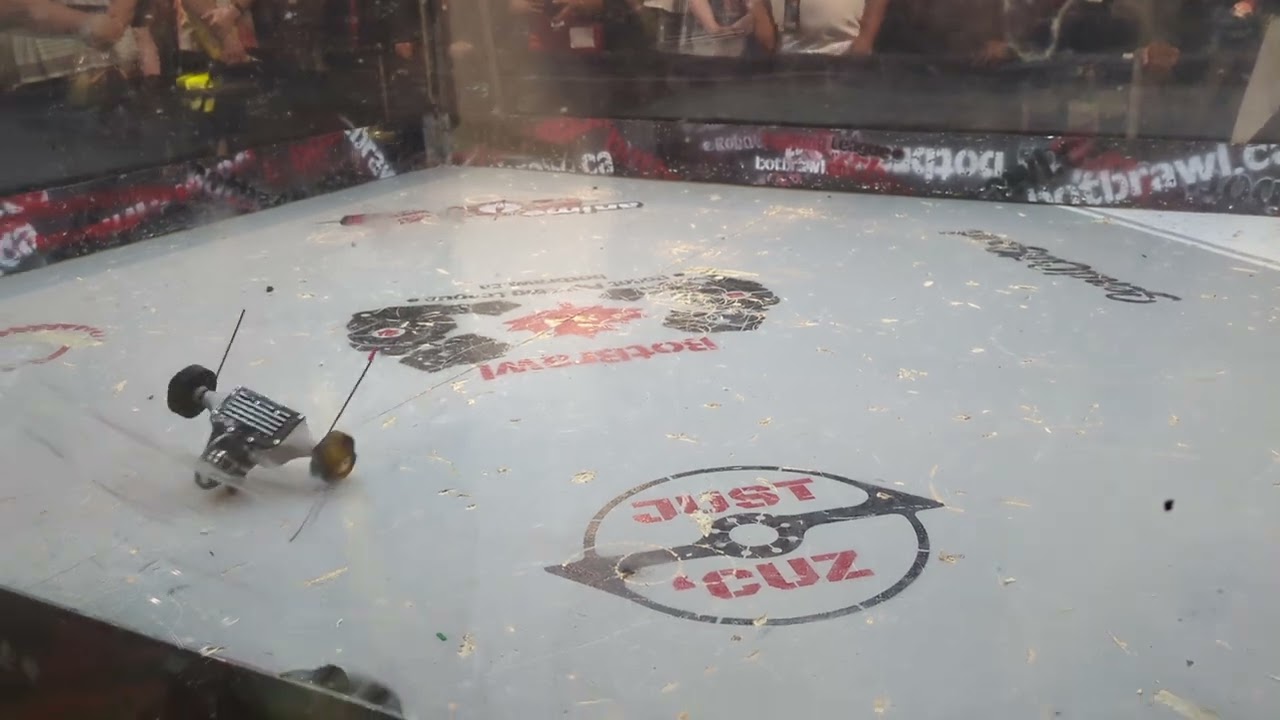 First Strike vs Left Shoe Right Foot - Anime North 2024