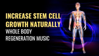 Increase Stem Cell Growth Naturally | Heal Your Stem Cells | Whole Body Regeneration Music | 528 Hz Profile