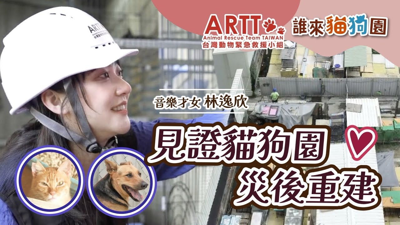 【誰來貓狗園】特別企劃 | 音樂才女林逸欣現身風災重創浪浪收容園區 關心動物救援小組重建工程現況