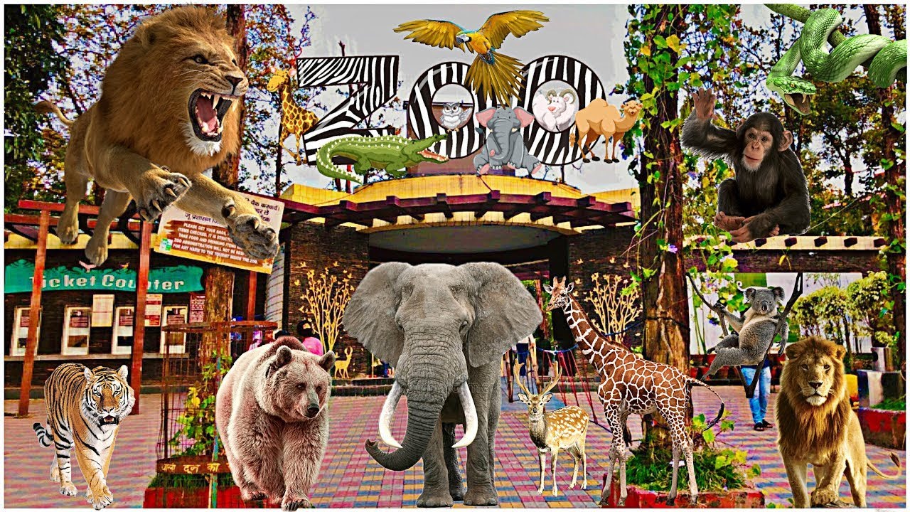 Malsi Deer Park Dehradun | Uttarakhand | Dehradun Zoo | Place to Visit in Dehradun | Zoo Vlog | Zoo