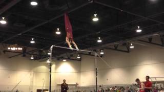 Zach Liebler – High Bar – 2016 Winter Cup Prelims