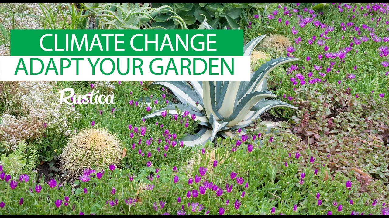 Adapting Your Garden to Climate Change - YouTube