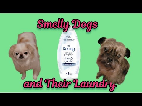 Downy Rinse And Refresh Free And Gentle 