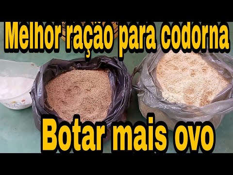 Como fazer ração para codorna bota