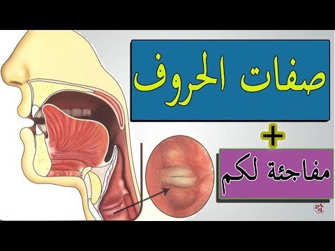 تعلم قواعد التجويد صفات الحروف العربية