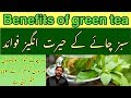 Green Tea benefits in urdu | Lose Weight | How To Lose Belly Fat | Reducing sugar & Cholesterol