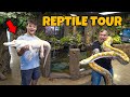 Cage by cage exotic reptile store tour insane
