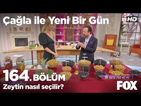 Video: Zeytin Nasıl Seçilir