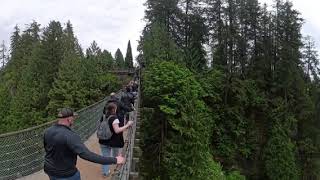 360 Video | 8k | Capilano Suspension Bridge Park | Vancouver, BC, Canada