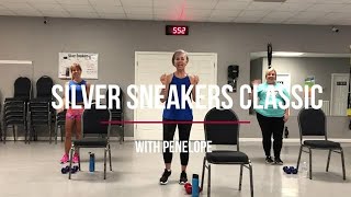 Silver Sneakers Classic routine #1 screenshot 2