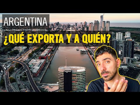 Exportaciones Argentinas: ¿QUÉ vendemos y A QUIÉN? | Economía Explicación 2021