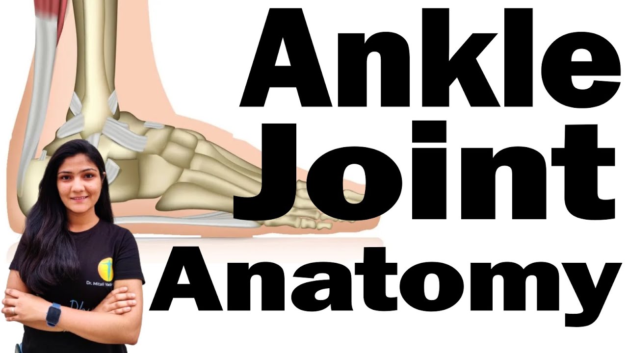 Ankle Joint Anatomy Lecture  (BPT/ MPT) I By Dr. Mitali Yadav Mam | Timesphysio
