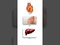 This is the largest organ in your body 😱 | Which one is the largest organ in your body?