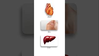 This is the largest organ in your body 😱 | Which one is the largest organ in your body?