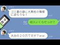 【LINE】モラハラ夫「家事は全部お前の仕事！、共働きで家事こなせないのは要領悪いお前の責任！」と威張り散らされる。自ら捨てられに行った結果、逆転展開へ・・ｗ（スカッとする話）【修羅場】