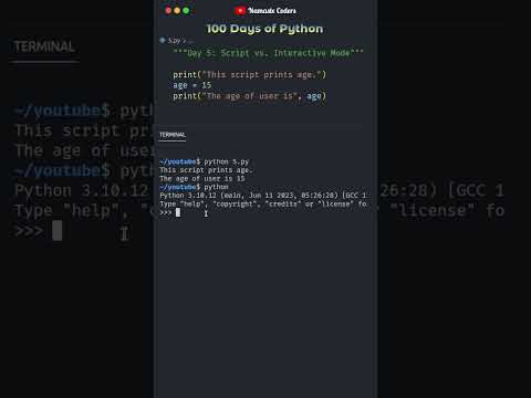 Script vs. Interactive Modes | Day 5 | 100 Days of Python #pythonprogramming #100dayschallenge