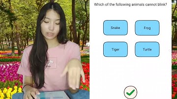 Brain Find Level 79 Which of the following animals cannot blink