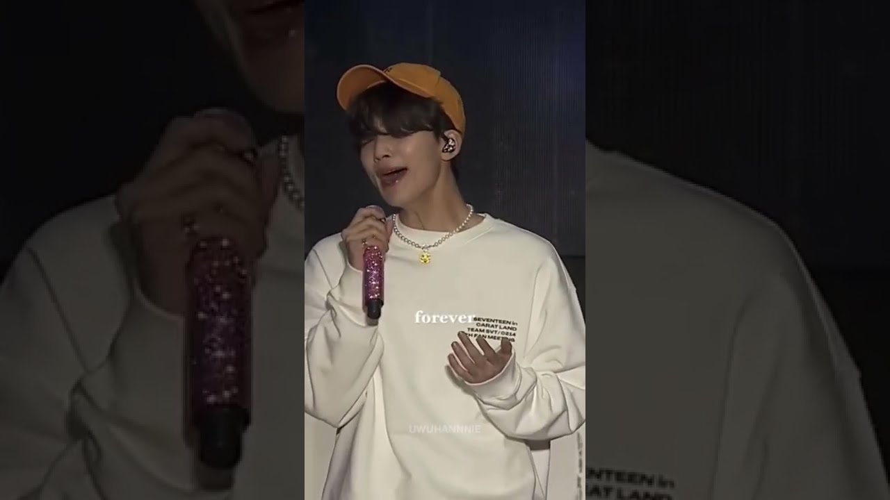 SEVENTEEN - Smile Flower [polskie napisy / PL SUB / line