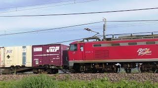 ﾚｯﾄﾞｻﾝﾀﾞ-EF510-4牽引高速貨物【4K】3098ﾚ信越本線上り